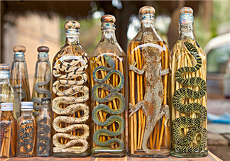 毒蛇泡在酒里為什么不死？毒蛇泡酒不死是什么原因？