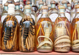 毒蛇泡酒有毒嗎？毒蛇泡酒能喝嗎？