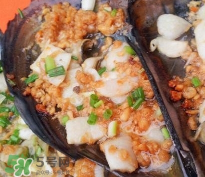 帶子是什么海鮮？帶子是什么東西