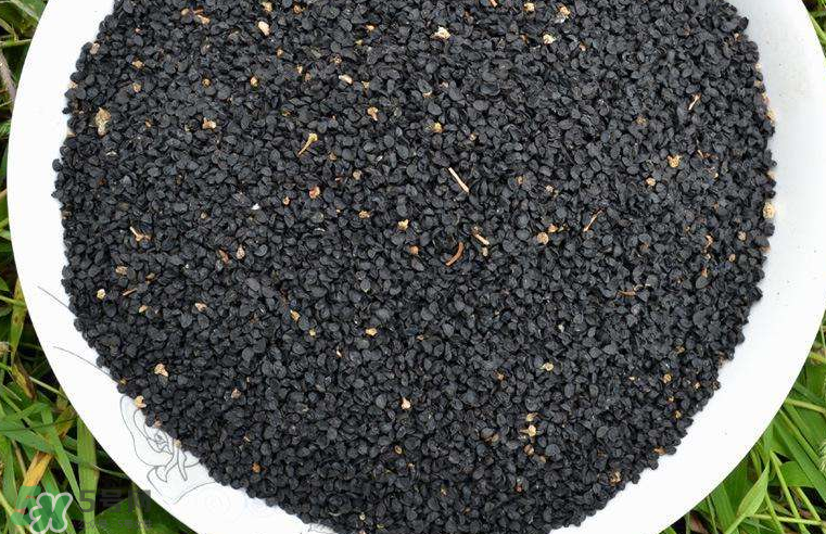 韭菜籽多少錢(qián)一斤？韭菜籽怎么賣的？