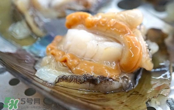 帶子哪里不能吃？帶子有什么營養(yǎng)價值