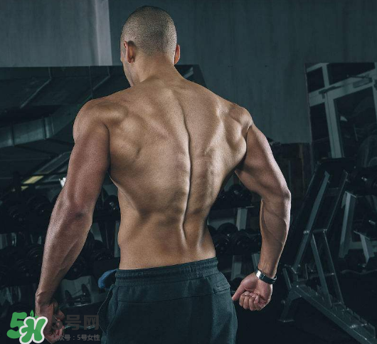 龍門架怎么練背？龍門架練背動作推薦