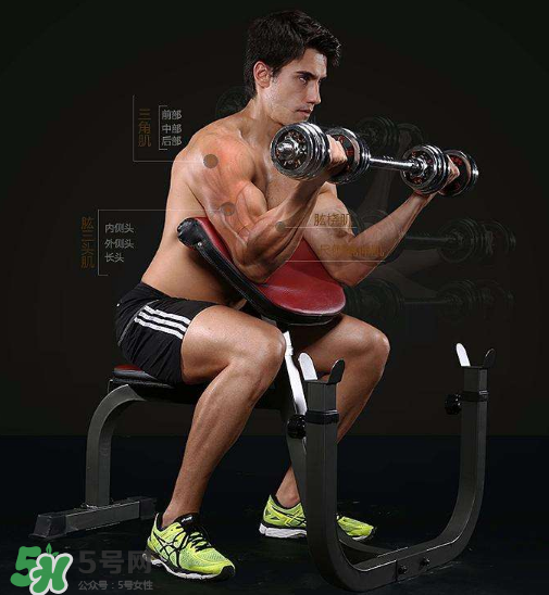 牧師凳彎舉怎么練？牧師凳杠鈴彎舉訓(xùn)練要點(diǎn)