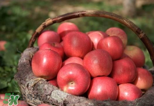 阿克蘇蘋果什么時候上市？阿克蘇蘋果幾月上市？