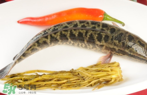 黑魚和草魚哪個(gè)好吃？黑魚不適合什么人吃