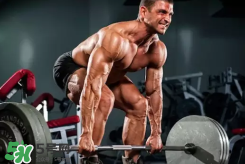 硬拉可以天天練嗎？硬拉可以每天做嗎？