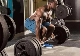 硬拉可以天天練嗎？硬拉可以每天做嗎？