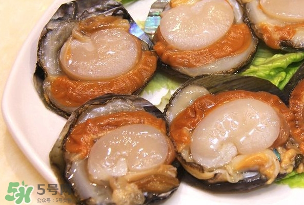 帶子是什么海鮮？帶子是什么東西