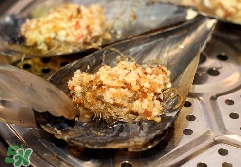 帶子哪里不能吃？帶子有什么營養(yǎng)價值