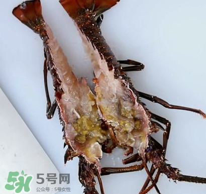 波士頓龍蝦怎么去蝦線？波士頓龍蝦怎么清洗