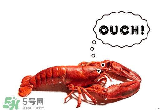 波士頓龍蝦有什么簡單好吃的做法？波士頓龍蝦要怎么殺