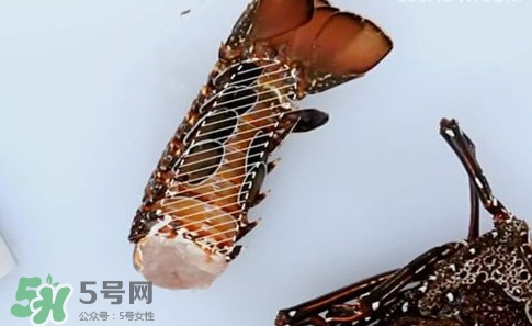 4斤的波士頓龍蝦多少錢(qián)？波士頓龍蝦怎么處理