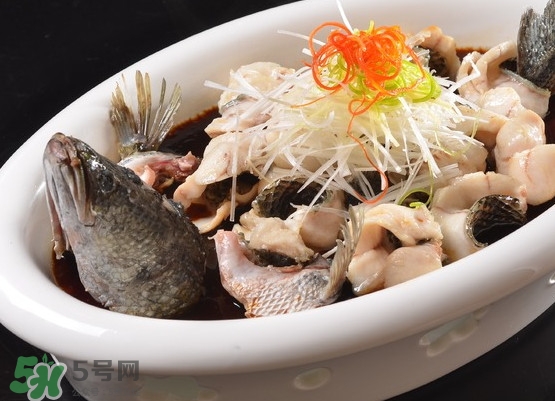 黑魚(yú)怎么殺不滑？黑魚(yú)為什么又被叫做財(cái)魚(yú)