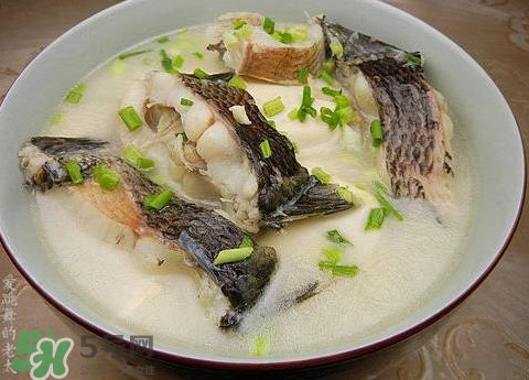 黑魚湯是發(fā)物嗎？黑魚湯可以放香菇嗎