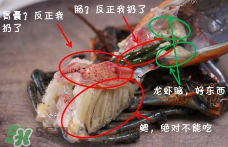 波士頓龍蝦頭能吃嗎？波士頓龍蝦哪里不能吃