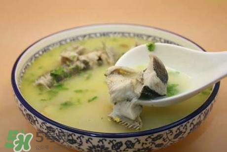 黑魚湯下奶嗎？黑魚湯是下奶還是回奶