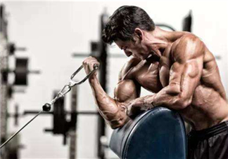 牧師凳彎舉怎么練？牧師凳杠鈴彎舉訓(xùn)練要點(diǎn)