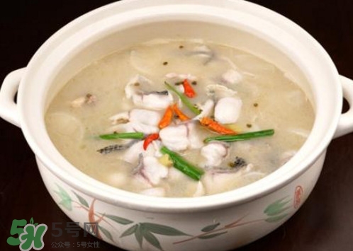 黑魚湯下奶嗎？黑魚湯是下奶還是回奶