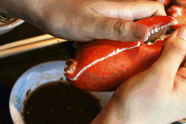 波士頓龍蝦有多大？波士頓龍蝦怎樣去殼