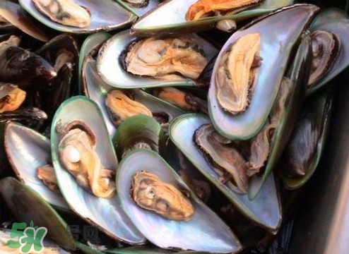 帶子哪里不能吃？帶子有什么營養(yǎng)價值