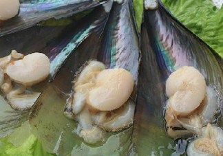 帶子哪里不能吃？帶子有什么營(yíng)養(yǎng)價(jià)值