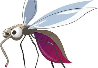 秋天有蚊子嗎？秋天有蚊子怎么辦？