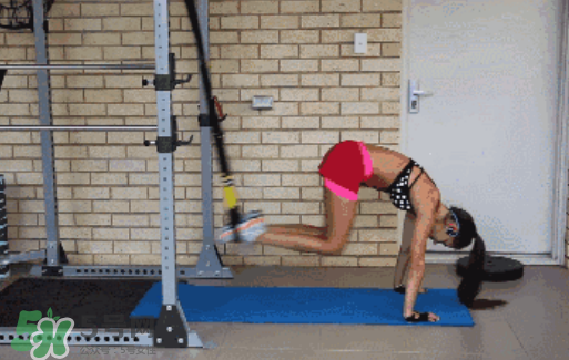 trx訓(xùn)練是有氧嗎？trx訓(xùn)練是有氧還是無氧？