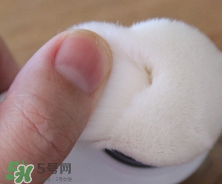 neogen妮珍面膜怎么樣？冷門性價比高的面膜