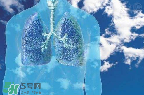 秋季如何護肺？秋季護肺小妙招