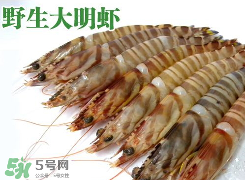 明蝦的營養(yǎng)價值 吃明蝦的好處