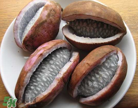 八月瓜的籽能吃嗎？八月瓜的籽可以種嗎