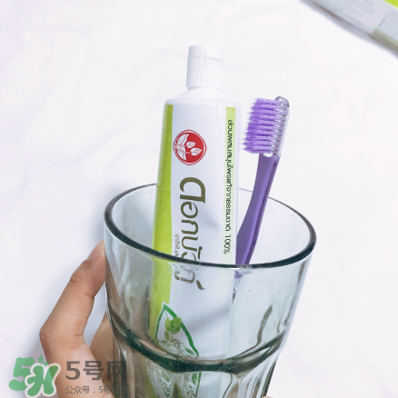 泰國雙蓮牙膏什么檔次？雙蓮牙膏介紹