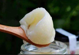 椴樹蜜和洋槐蜜哪個(gè)好？椴樹蜜和洋槐蜜的區(qū)別