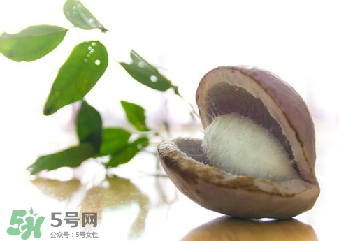 八月瓜的皮可以吃嗎？八月瓜的皮有什么功效