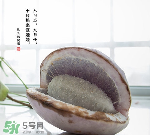 八月瓜可以泡酒嗎？八月瓜可以治乙肝嗎