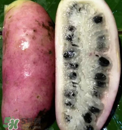 八月瓜的籽能吃嗎？八月瓜的籽可以種嗎