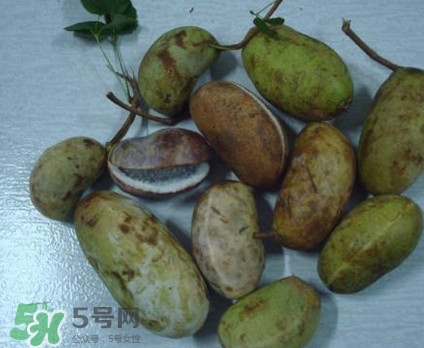 野香蕉孕婦能吃嗎？野香蕉好吃嗎？