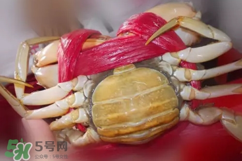 黃油蟹放冰箱能放多久？黃油蟹怎么挑選