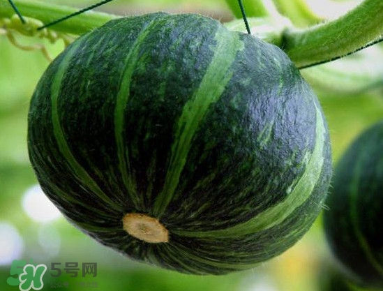 貝貝南瓜蒸多久能吃？貝貝南瓜和普通南瓜有什么區(qū)別