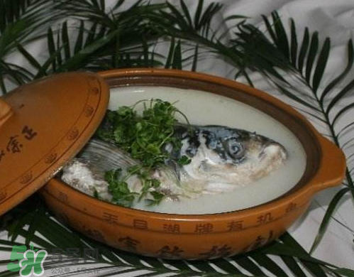 鰱魚頭湯孕婦可以吃嗎？鰱魚頭湯的功效與作用