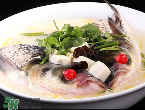 鰱魚頭湯孕婦可以吃嗎？鰱魚頭湯的功效與作用