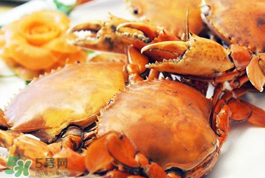 黃油蟹是什么蟹？黃油蟹多少錢一只