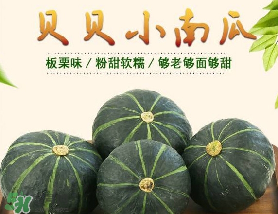 貝貝南瓜蒸多久能吃？貝貝南瓜和普通南瓜有什么區(qū)別