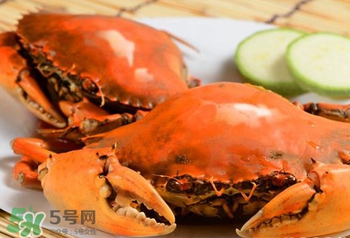 黃油蟹的選蟹標(biāo)準(zhǔn)是什么？黃油蟹的等級分類