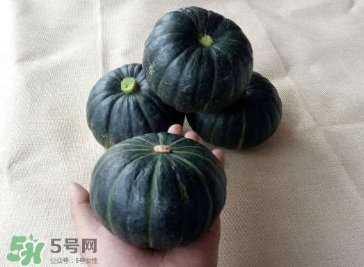 貝貝南瓜是哪里的？貝貝南瓜哪里產(chǎn)的