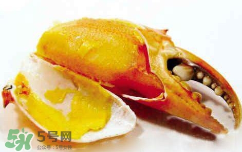 黃油蟹放冰箱能放多久？黃油蟹怎么挑選