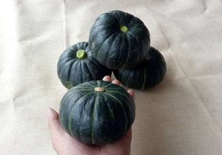 貝貝南瓜是哪里的？貝貝南瓜哪里產(chǎn)的