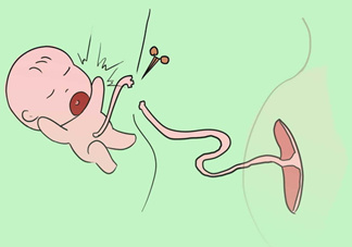 寶寶臍帶什么時(shí)候脫落？寶寶臍帶脫落后怎么護(hù)理？