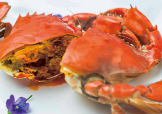 黃油蟹是海蟹嗎？黃油蟹是如何進化的