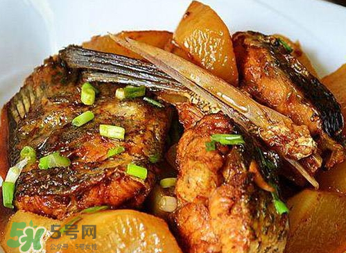 鱸魚可以紅燒嗎？鱸魚清蒸還是紅燒好吃？